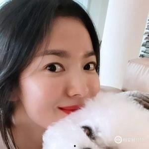 宋慧乔爆料视频合集,揭秘明星幕后生活点滴 第3张 宋慧乔爆料视频合集,揭秘明星幕后生活点滴 第3张